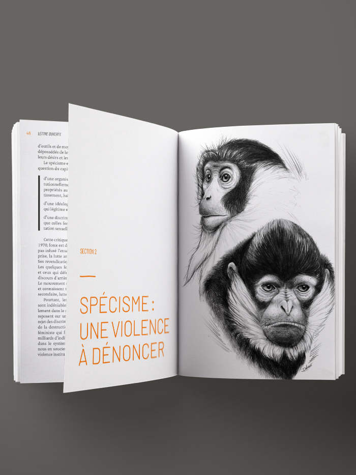 Section 2 – Spécisme : une violence à dénoncer