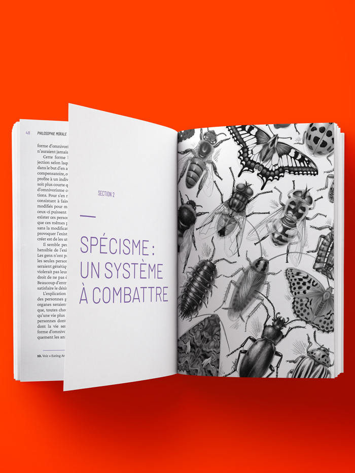 Section 2 : Sp&eacutecisme, un syst&egraveme à combattre