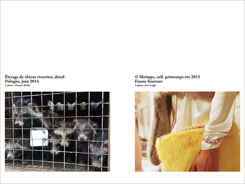 pages 10 et 11 du dossier, zoom sur une ferme-usine de chiens viverrins en Pologne en juin 2014, zoom sur la fausse fourrure dans la collection P/E 2015 de Shrimps